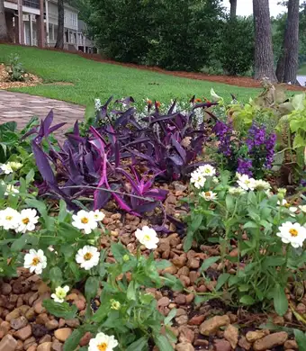 Plantings, Decatur, AL