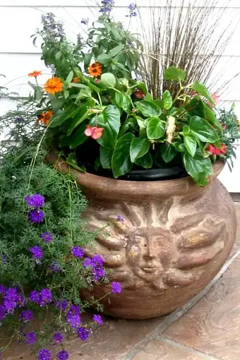 Container Gardens, Decatur, AL